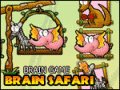 cervello safari