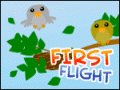primo volo
