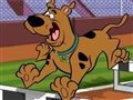 Scooby doo gara hurdle