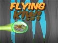 Flying Kiwi